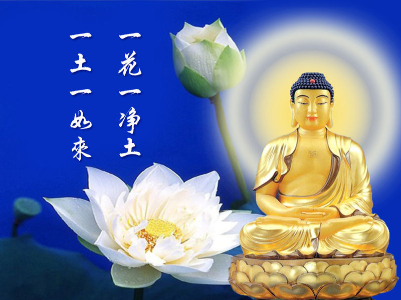 认识生命 认识生命