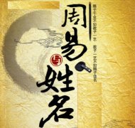 陈杰秘书长应邀讲解《周易与姓名》讲座 陈杰秘书长应邀讲解《周易与姓名》讲座